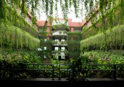 Green central courtyard 